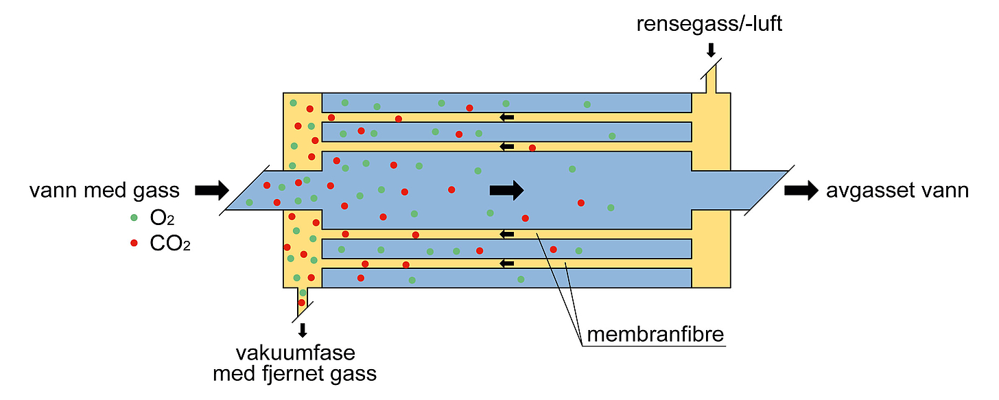 Driftsprinsippet membranavgassing