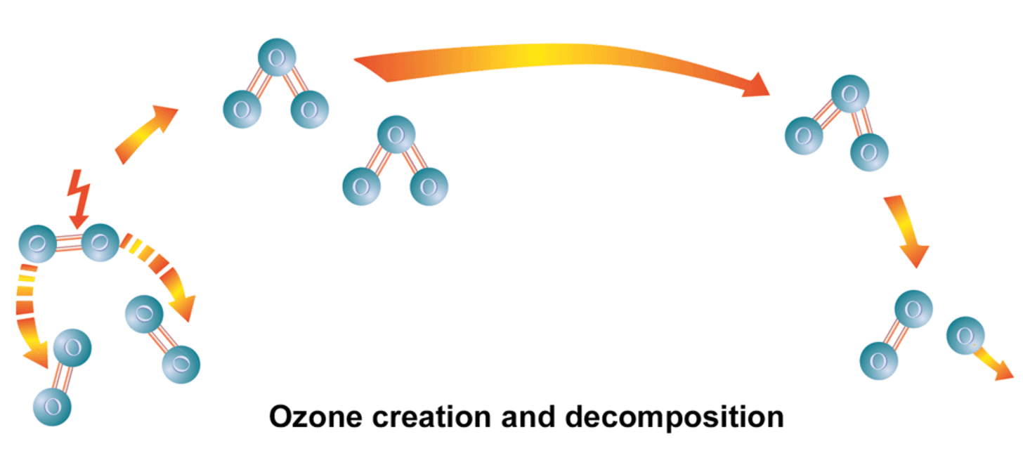Ozon – dannelse og spalting