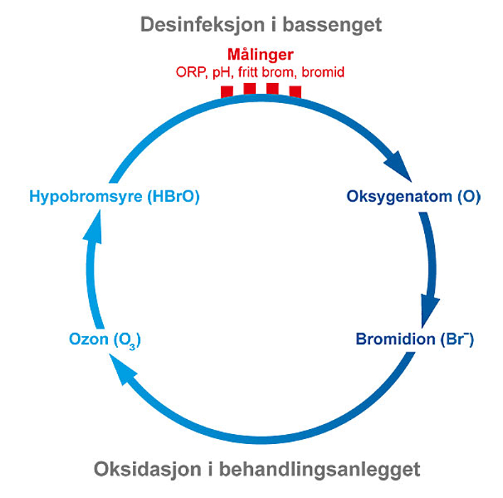 Desinfeksjon i bassenget
